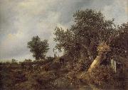 Jacob van Ruisdael Landscape with a cottage and trees china oil painting reproduction